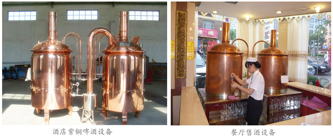 紫銅啤酒設備 紫銅啤酒設備