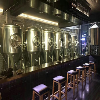 酒吧500L啤酒設備