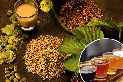 精釀啤酒原料--山東豪魯啤酒設備 精釀啤酒原料--山東豪魯啤酒設備